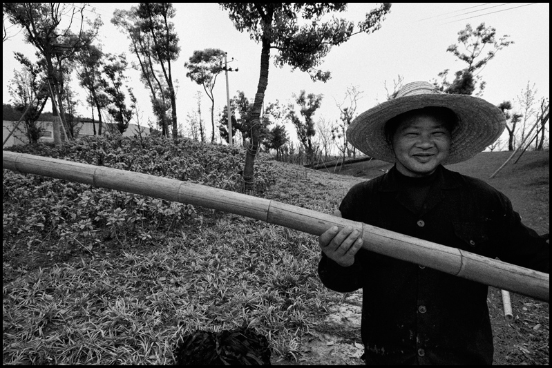 ©copyright Marco Giardini